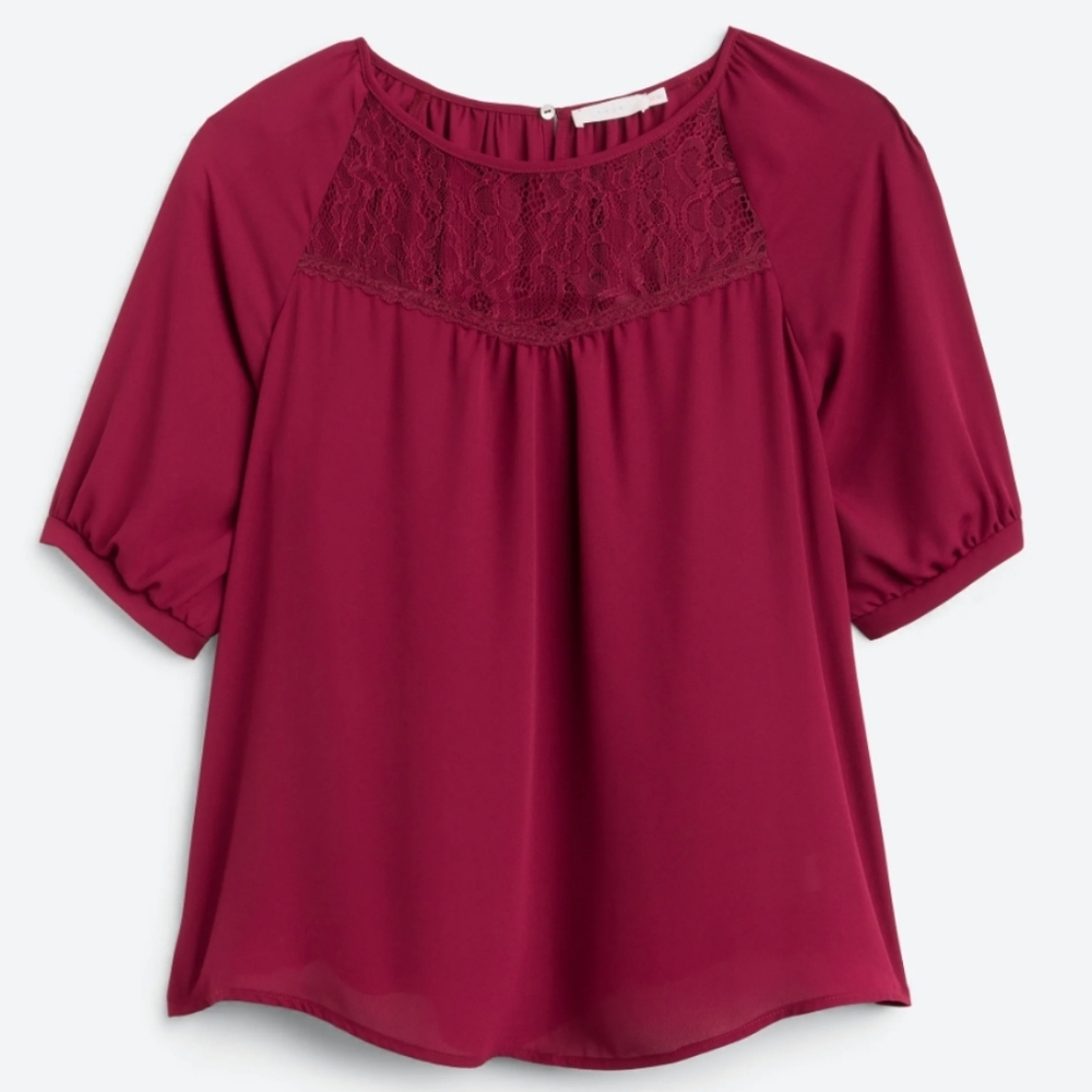 Lace blouse 3X by Lush - New with tags!